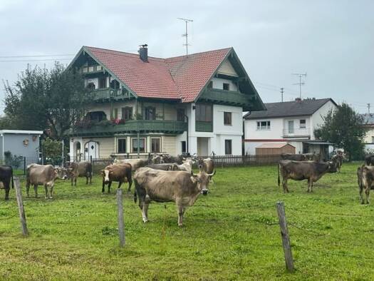Terrassenwohnung zur Miete 1.250 € 4 Zimmer 100 m² EG Holzerstraße 11 Peißenberg 82380