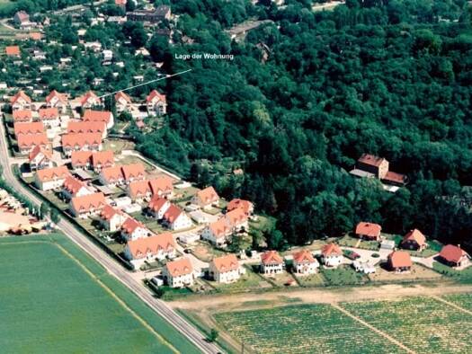 Wohnung zur Miete 580 € 3 Zimmer 79,4 m² frei ab 01.01.2027 Aschersleben Aschersleben 06449