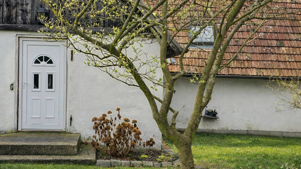 Einfamilienhaus zum Kauf 299.000 € 1.595 m² Grundstück Senftenberg 3541