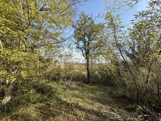 Acker-/Waldstück zum Kauf 80.000 € Buje Buje 52460