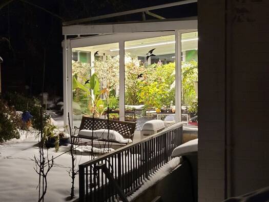 Terrassenwohnung zum Kauf provisionsfrei 395.000 € 3 Zimmer 98 m² Geschoss EG/2 Gielsdorf Alfter 53347