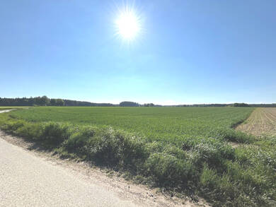 Land-/Forstwirtschaft zum Kauf 189.500 € 19.980 m² Grundstück Niederraunau Krumbach / Niederraunau 86381