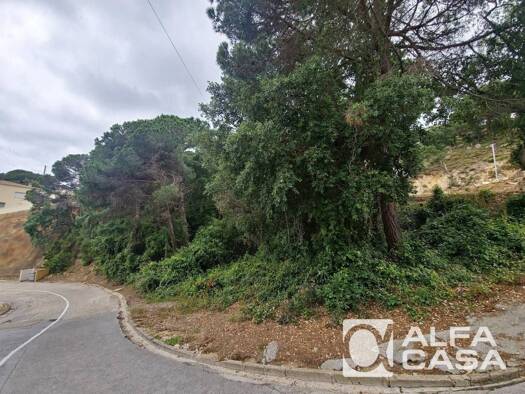 Acker-/Waldstück zum Kauf 32.000 € Lloret de Mar 17310