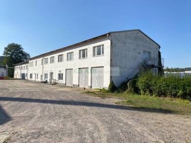 Produktionshalle zum Kauf 120.000 € 1.120 m² Lagerfläche Blumenau Olbernhau 09526