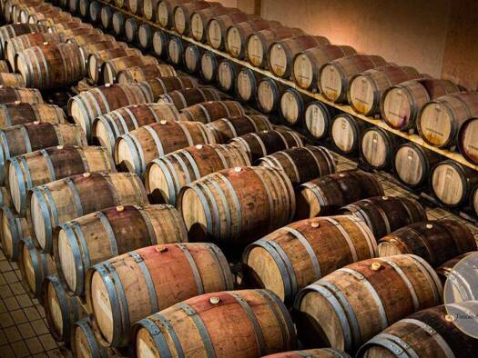 Büro zum Kauf 11.000.000 € Castelnuovo Berardenga 53019