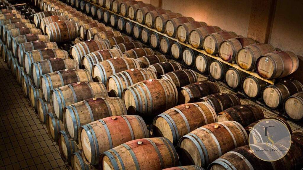 Büro zum Kauf 11.000.000 € Castelnuovo Berardenga 53019