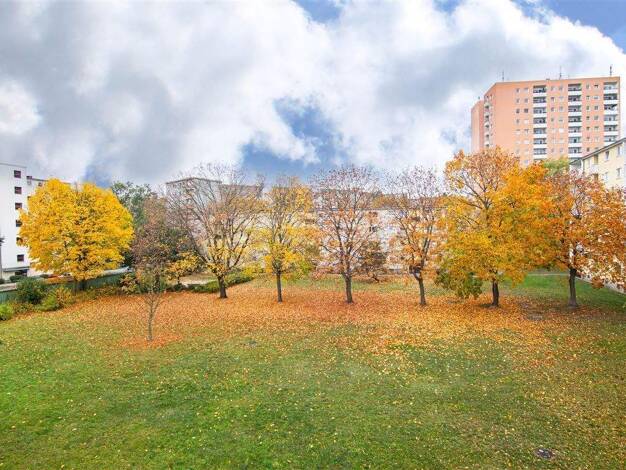 Wohnung zum Kauf 3 Zimmer 67 m² 2. Geschoss Spandau Berlin 13589