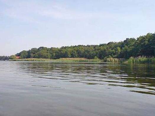 Haus zum Kauf 1.150.000 € 5 Zimmer 300 m² 1.350 m² Grundstück Mahlsdorf Berlin 12623