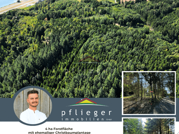 Land-/Forstwirtschaft zum Kauf 198.545 € 40.240 m² Grundstück Albersdorf Vilshofen an der Donau 94474