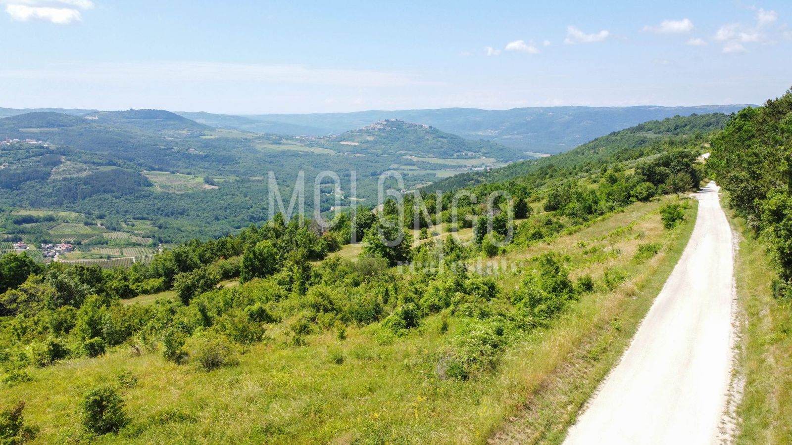 Land-/Forstwirtschaft zum Kauf 235.000 € Motovun center