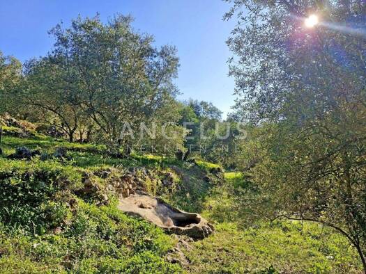 Acker-/Waldstück zum Kauf 120.000 € Dubrovnik 20000