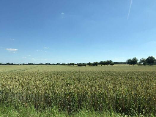 Grundstück zum Kauf 120.000 € 1.177 m² Grundstück Wyhra Borna 04552