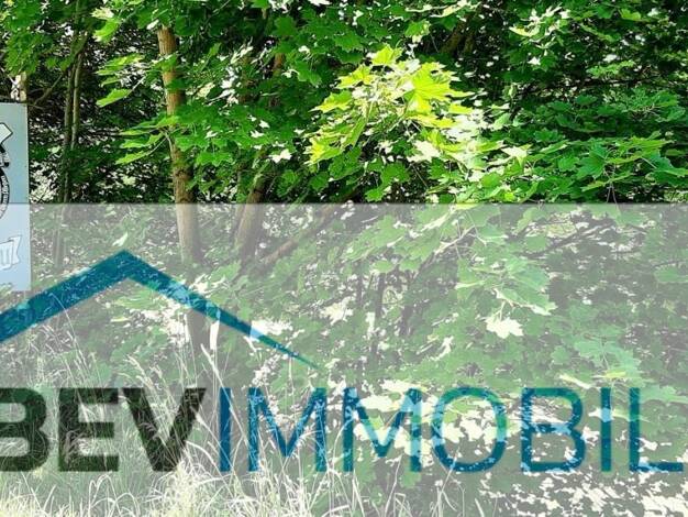 Gewerbegrundstück zum Kauf 210.000 € 26.908 m² Grundstück Netzschkau Netzschkau 08491