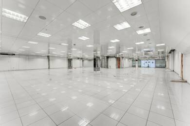 Verkaufsfläche zur Miete 7.250 € 600 m² Verkaufsfläche Kehl Kehl 77694