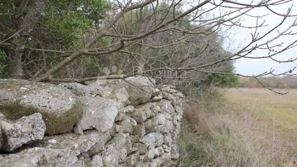 Land-/Forstwirtschaft zum Kauf 16.250 € Vodnjan