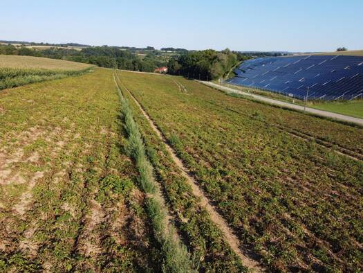 Landwirtschaftliche Fläche zum Kauf 464.000 € 25.778 m² Grundstück Hinterkreuth Niederviehbach 84183