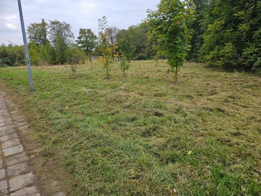 Grundstück zum Kauf - Erstbezug 51.000 € 990 m² Grundstück Doberlug-Kirchhain Doberlug-Kirchhain 03253
