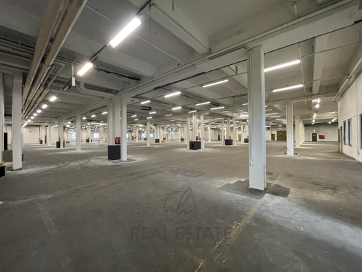 Lagerhalle zur Miete 7,90 € 9.000 m² Lagerfläche teilbar von 4.400 m² bis 9.000 m² Billbrook Hamburg 22113
