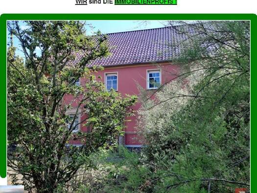 Bauernhaus zum Kauf 398.000 € 8 Zimmer 305 m² 6.725 m² Grundstück Schönewalde Schönewalde 04916