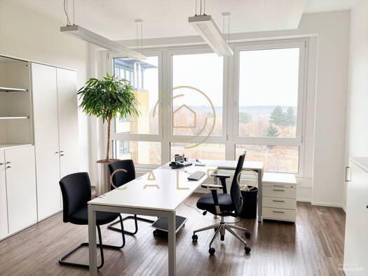 Bürofläche zur Miete provisionsfrei 9 € 3.050 m² Bürofläche teilbar ab 148 m² Industriegebiet Langen 63225
