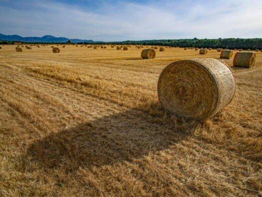 Grundstück zum Kauf 490.000 € 15.000 m² Grundstück Algaida 07210