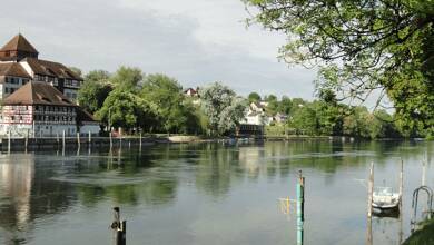 Einfamilienhaus zum Kauf 609.900 € 7 Zimmer 177 m² 594 m² Grundstück Gailingen am Hochrhein 78262