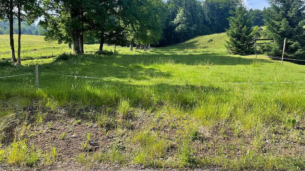 Grundstück zum Kauf provisionsfrei 590.000 € 978 m² Grundstück Leithen Thalgau 5303