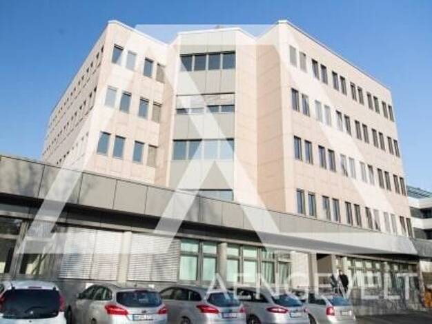 Bürogebäude zur Miete provisionsfrei 3.086 m² Bürofläche teilbar ab 550 m² Rödelheim Mitte-West 60489