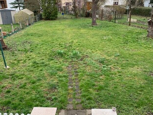 Studio zur Miete 475 € 2 Zimmer 55 m² 4. Geschoss Arnstadt 99310