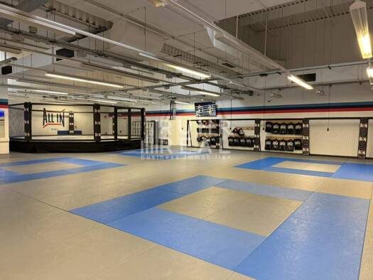 Halle/Industriefläche zur Miete 988 m² Lagerfläche teilbar ab 988 m² Deutz Köln 50679