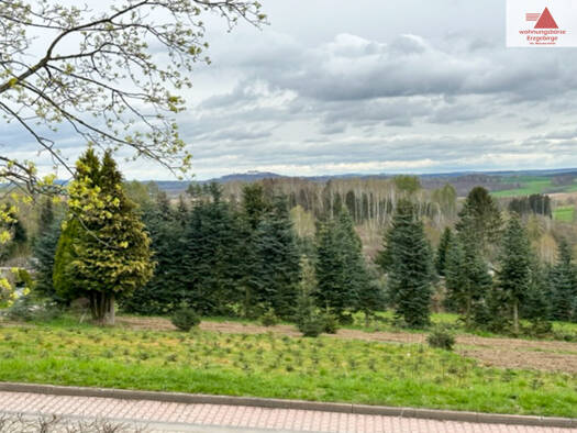 Mehrfamilienhaus zum Kauf 9 Zimmer 342 m² 1.196 m² Grundstück Gornau Gornau/Erzgebirge 09405