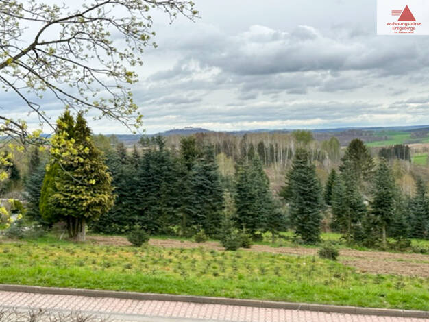 Mehrfamilienhaus zum Kauf 9 Zimmer 342 m² 1.196 m² Grundstück Gornau Gornau/Erzgebirge 09405