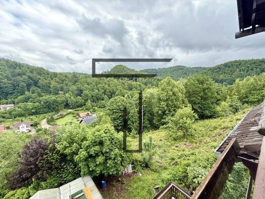 Mehrfamilienhaus zum Kauf 349.000 € 950 m² 6.362 m² Grundstück Walkenried 37445