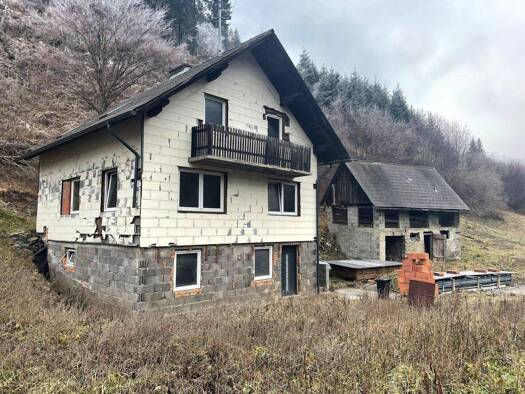 Haus zum Kauf 99.000 € 4 Zimmer 80 m² 2.132 m² Grundstück Dürnstein in der Steiermark 9323