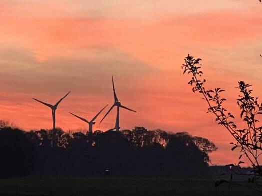 Grundstück zum Kauf 125.400 € 481 m² Grundstück Enniger Ennigerloh 59320