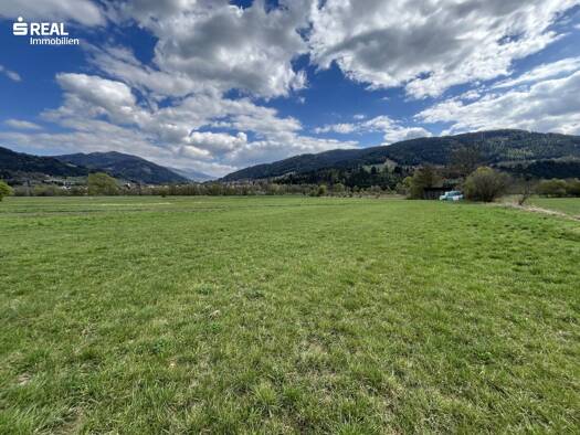 Land-/Forstwirtschaft zum Kauf 193.920 € 25.856 m² Grundstück Niederwölz 8831