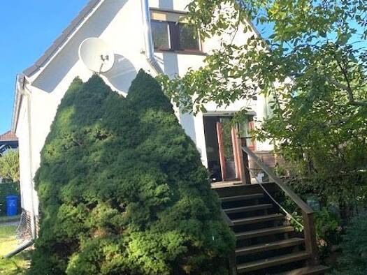 Einfamilienhaus zum Kauf 4 Zimmer 100 m² 799 m² Grundstück frei ab 01.03.2027 Zeuthen Zeuthen 15738