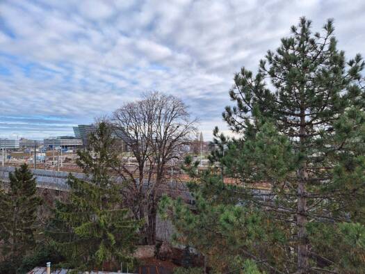 Wohnung zum Kauf 265.000 € 2 Zimmer 80,3 m² 5. Geschoss Ruthnergasse Wien 1210