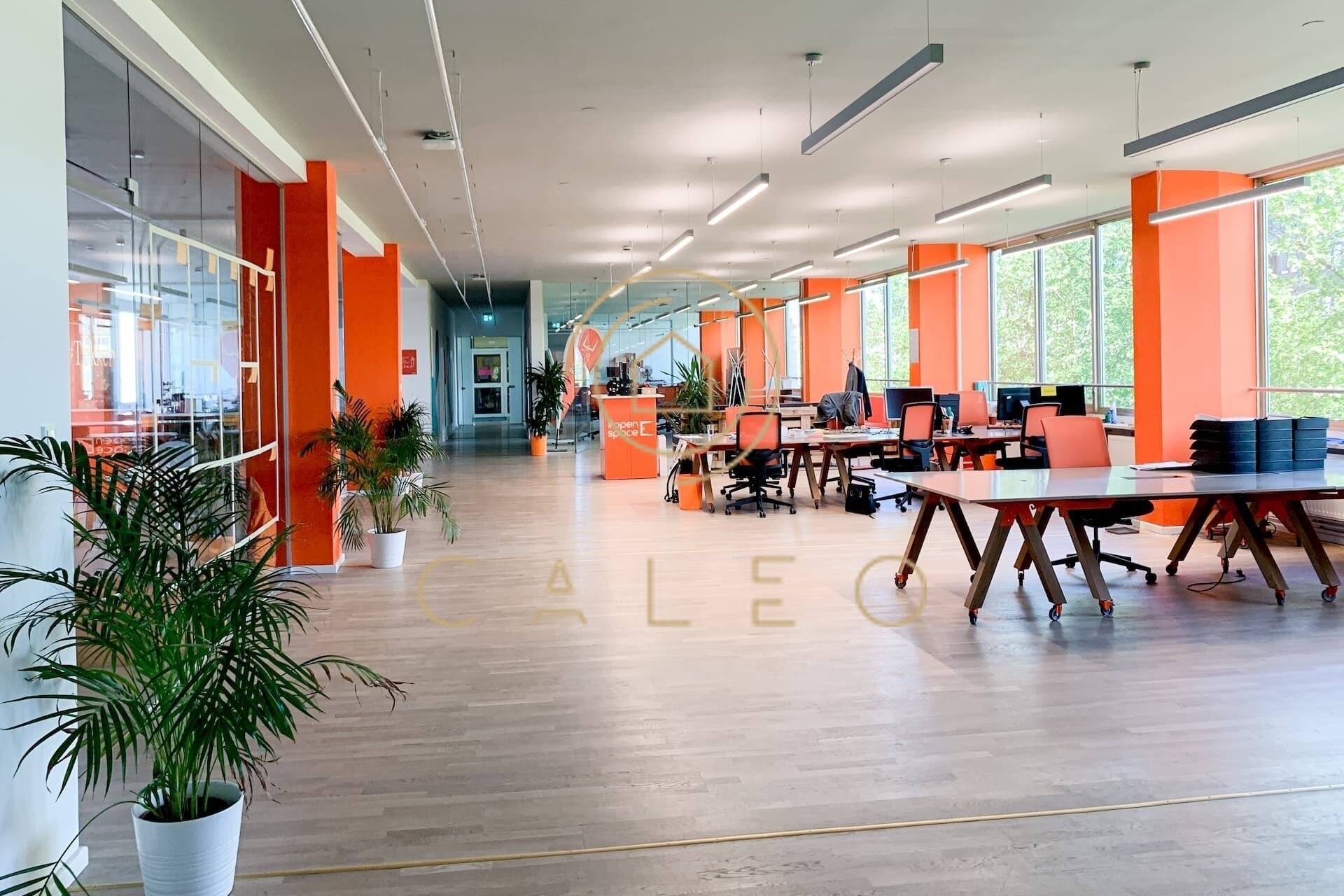 Bürokomplex zur Miete provisionsfrei 700 m²<br/>Bürofläche ab 1 m²<br/>Teilbarkeit Schöneberg Berlin 10787