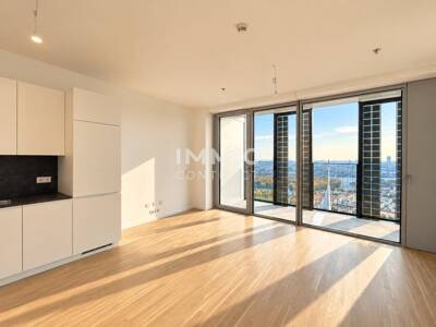 1-Zimmer-Wohnung, 32 m², Donaustadt, Donaustadt