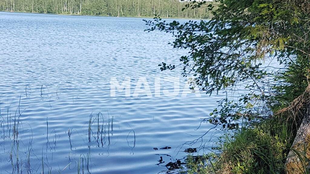 Grundstück zum Kauf 19.900 € 5.030 m² Grundstück Ruokolahti 56210