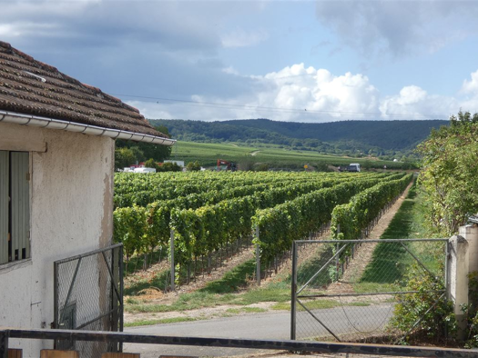 Haus zum Kauf 397.000 € 9 Zimmer 244 m² 640 m² Grundstück Herxheim am Berg 67273