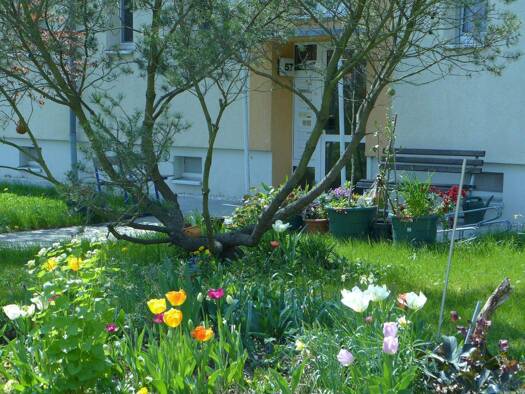 Wohnung zur Miete 318 € 2 Zimmer 48 m² Borna 04552