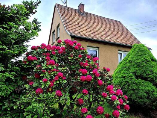 Einfamilienhaus zum Kauf 77.000 € 3 Zimmer 85 m² 1.020 m² Grundstück frei ab sofort Tobertitz Weischlitz 08538