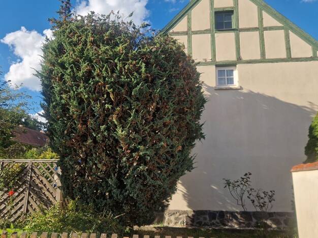 Reihenendhaus zum Kauf 3 Zimmer 60 m² 250 m² Grundstück frei ab 31.12.2026 Hellerau/Wilschdorf Dresden 01109