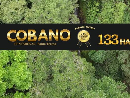 Land-/Forstwirtschaft zum Kauf 1.956.970 € 1,3 m² Grundstück Santa Teresa Beach Puntarenas Province