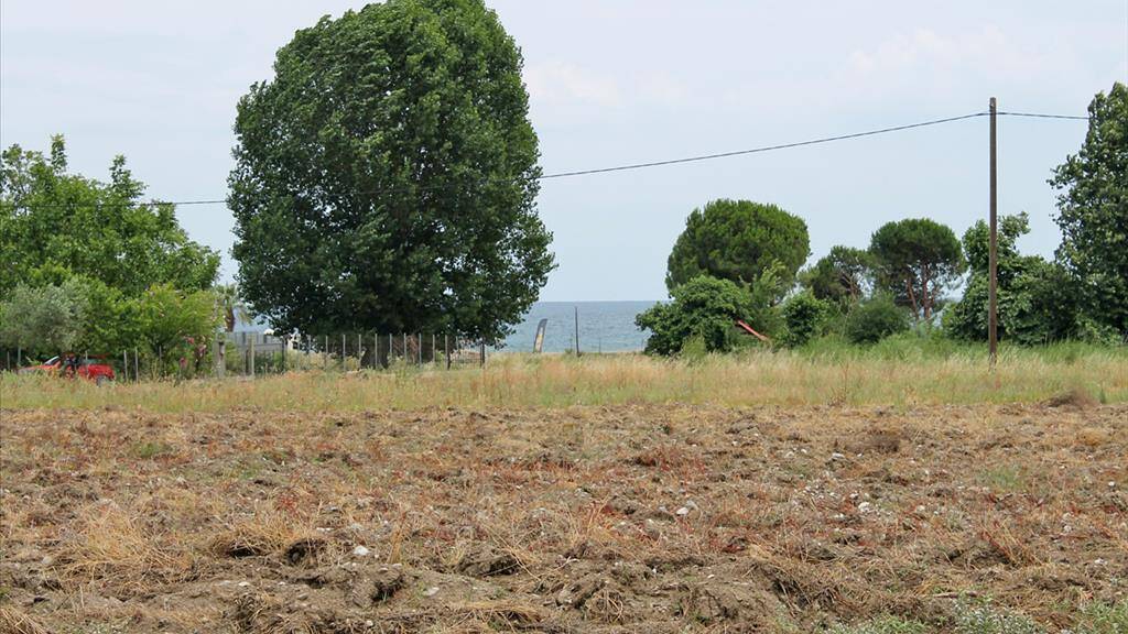 Land-/Forstwirtschaft zum Kauf 215.000 € 4.000 m² Grundstück Olympische Riviera