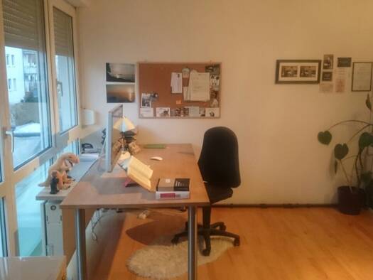 Wohnung zur Miete 430 € 1 Zimmer 35 m² Geschoss 2/15 frei ab 01.06.2026 Steibweg 2 St Peter Nürnberg 90478