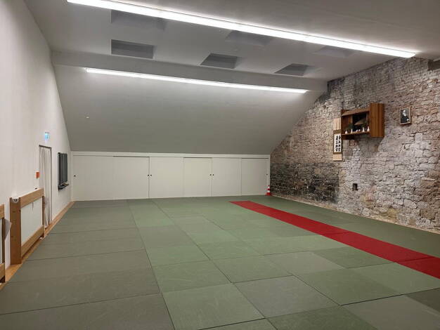 Sonstiges zur Miete provisionsfrei Walpodenstraße 5 Altstadt Mainz 55116