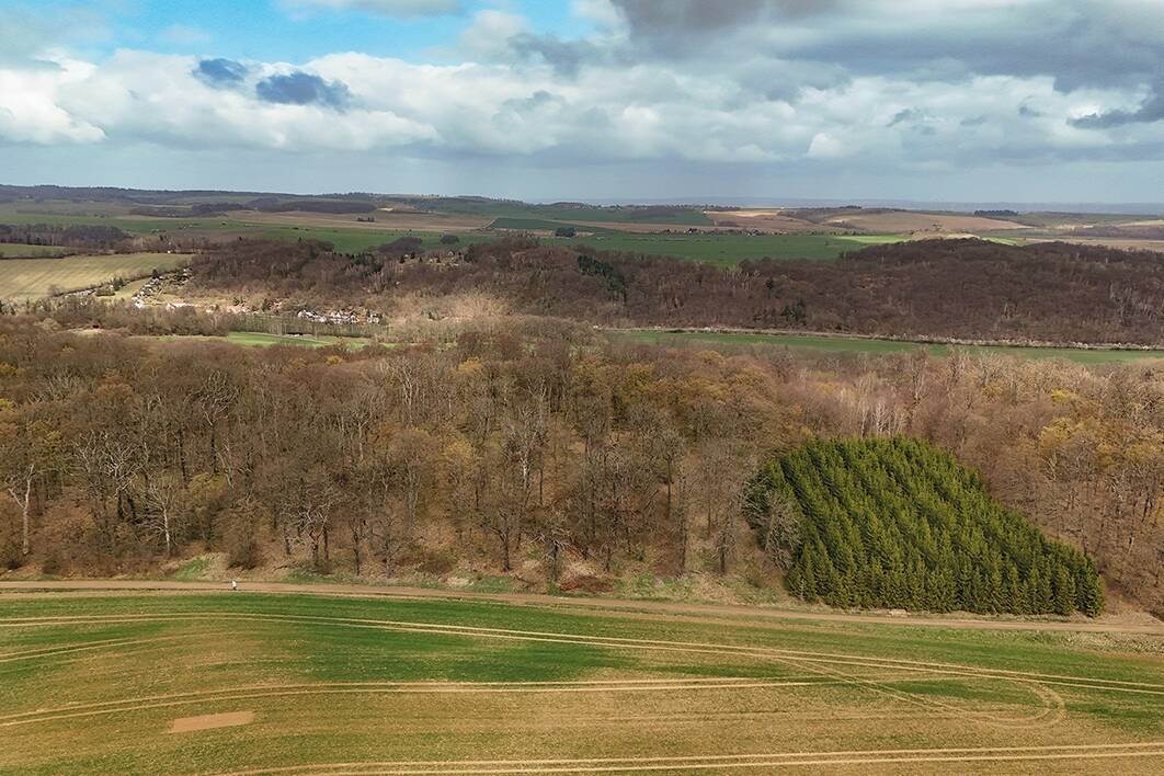 Land-/Forstwirtschaft zum Kauf - Ansicht 2
